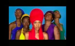 ErykahBaduBagLadyVideo_article-small_52003